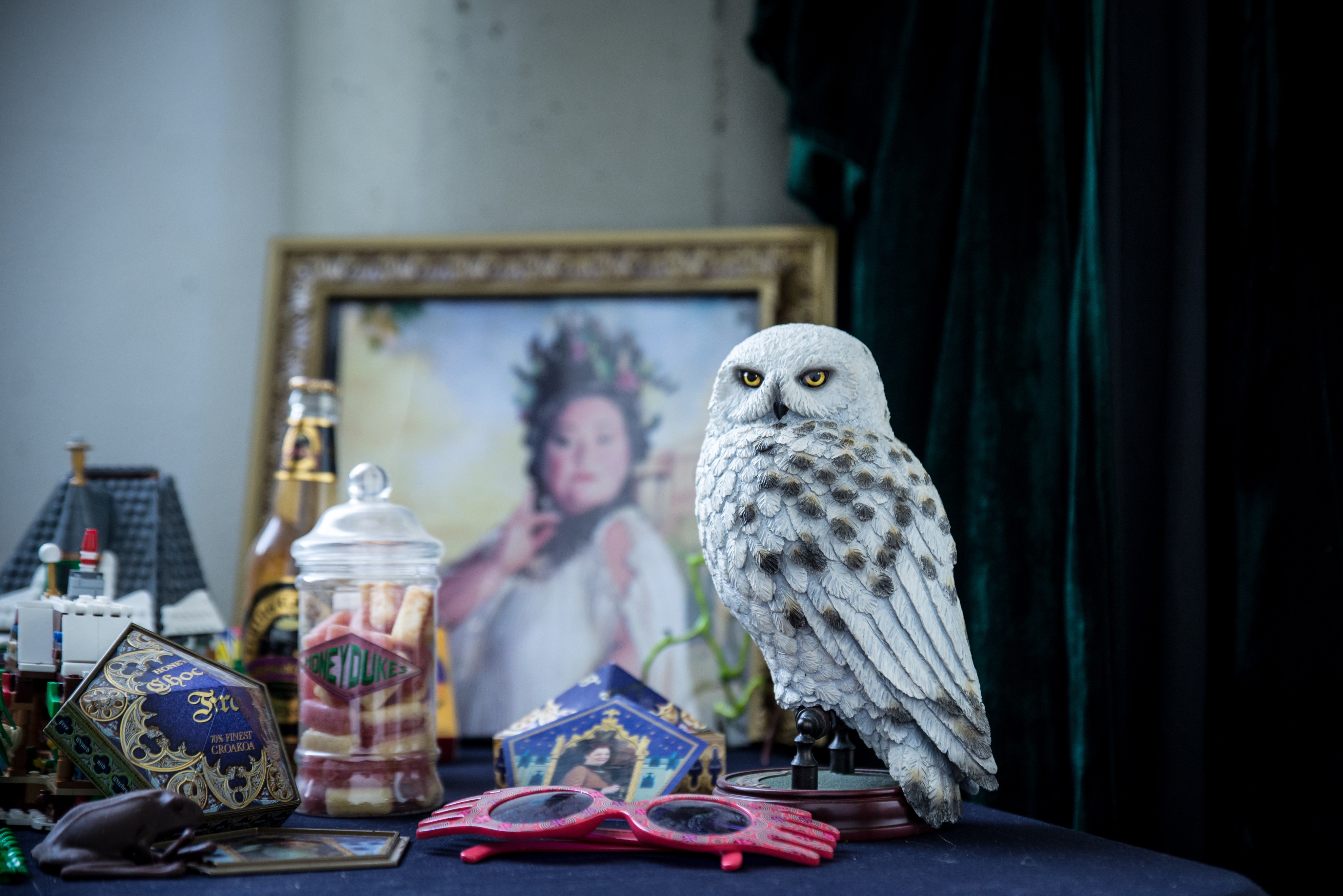 Exposici&oacute;n Harry Potter